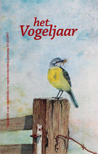 Illustratie: Gele kwikstaart, door Henk van Bork